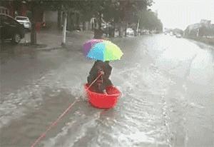 河北绿色崛起,创新驱动引领高质量发展新引擎