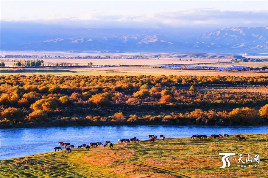新疆，神秘美丽的土地🌄