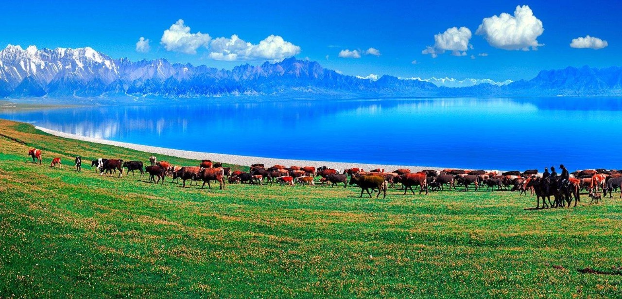 穿越新疆，心灵之旅的足迹