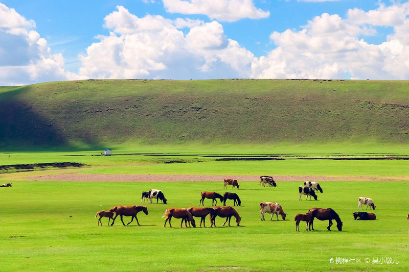 呼伦贝尔,草原的诗情与远方之旅