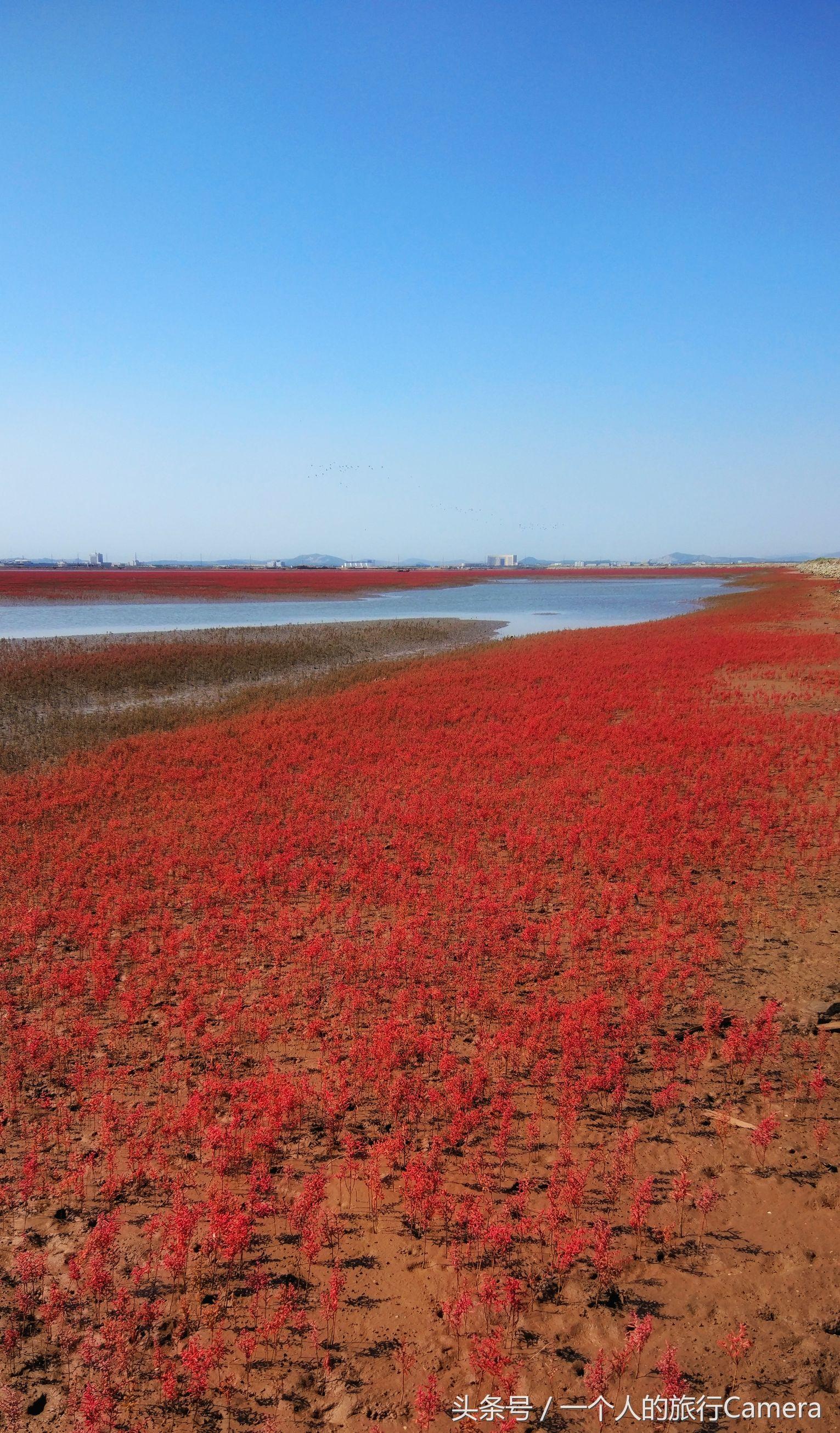 锦州,历史底蕴与现代风采的交融之城