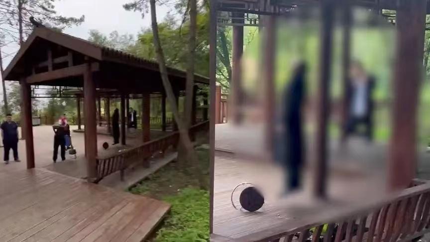 攀登知识高峰，白山的自信与成就之旅